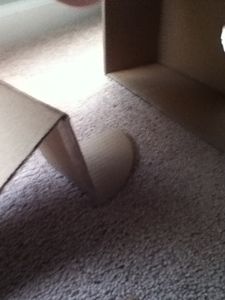 Put Stand in Box Like This