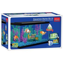 betta fish breeding box for Fish in Aquariums and Fish Bowls CRAZE High quality suckers can used to fix the product conveniently. Breeding Bettas | Basement Bettas