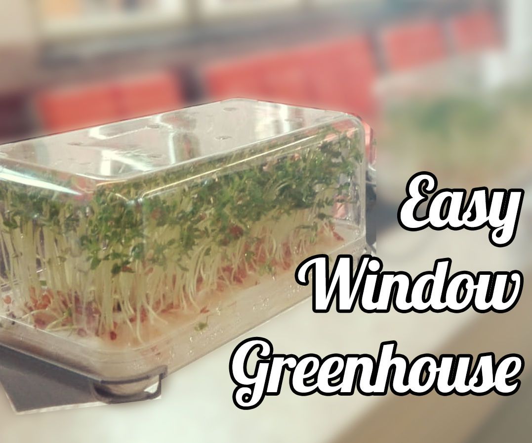 Easy Window Greenhouse