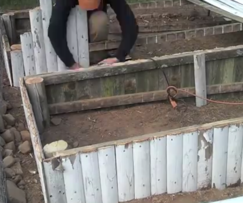 Raised Garden Bed From Old Cedar Fence