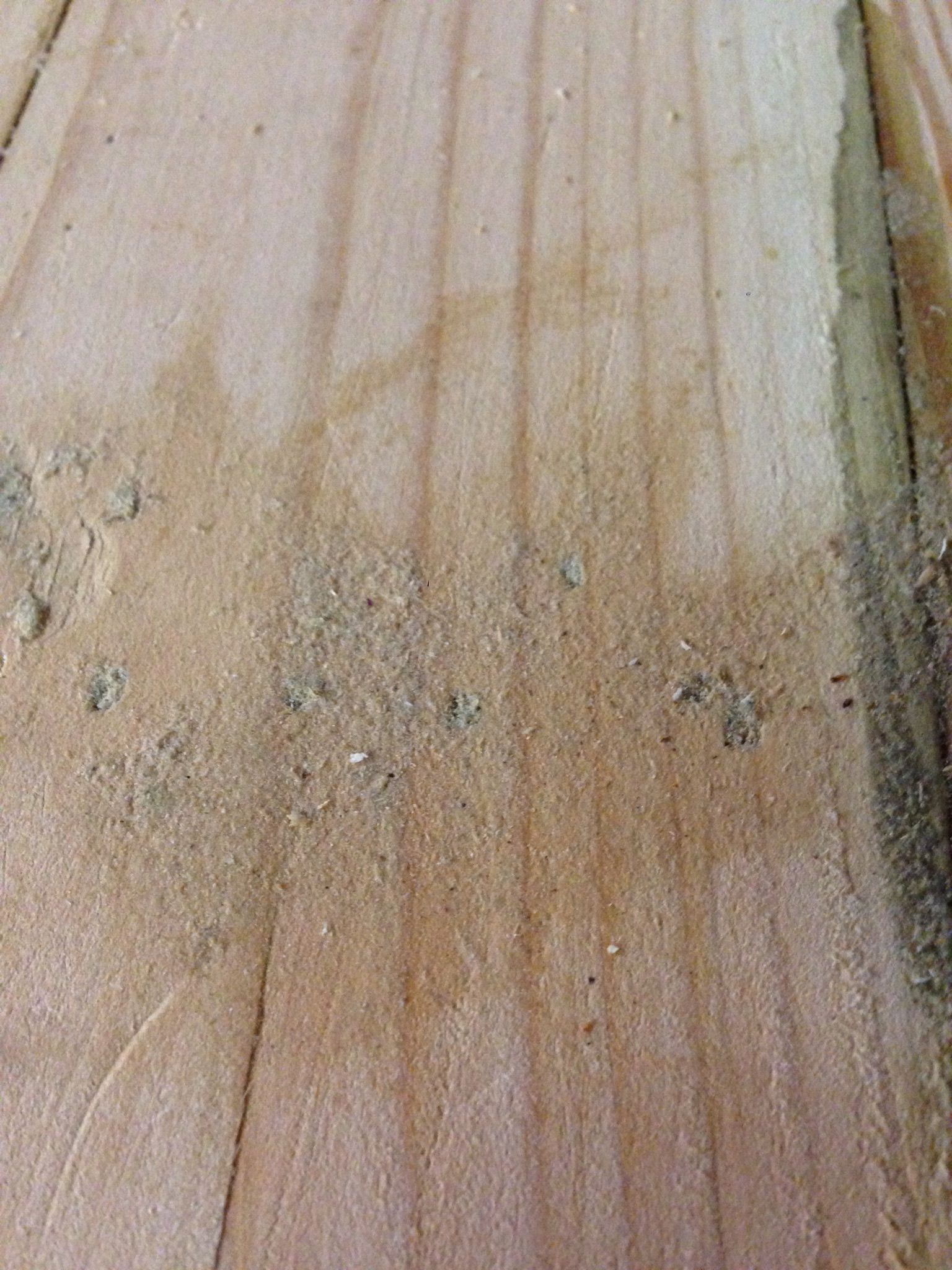 DIY Wood Filler How to Plug Screw Holes and Fill Cracks Make With Just Two Ingredients