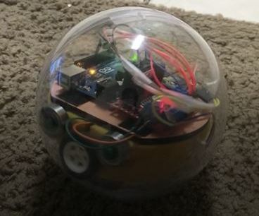 The Roll-Bot