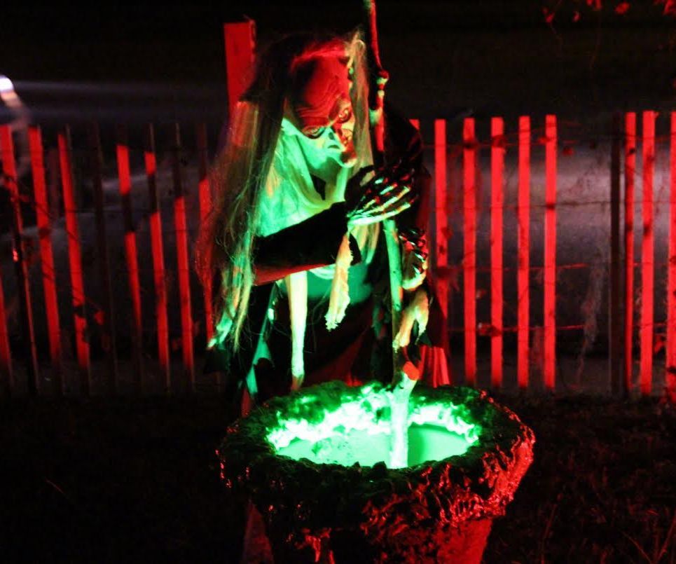 2015 Halloween Witch