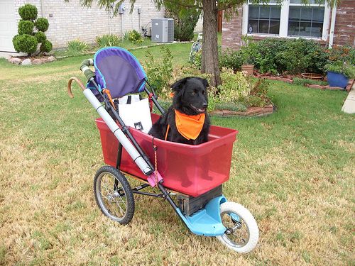 when to take insert out of maxi cosi car seat Mico® Pro+ Infant Outdoorsman Special Order Black Multicolore Option 1:Worn_RES000002233