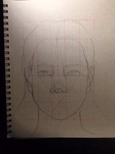 Draw Grid Method Face How To Draw A Face Grid