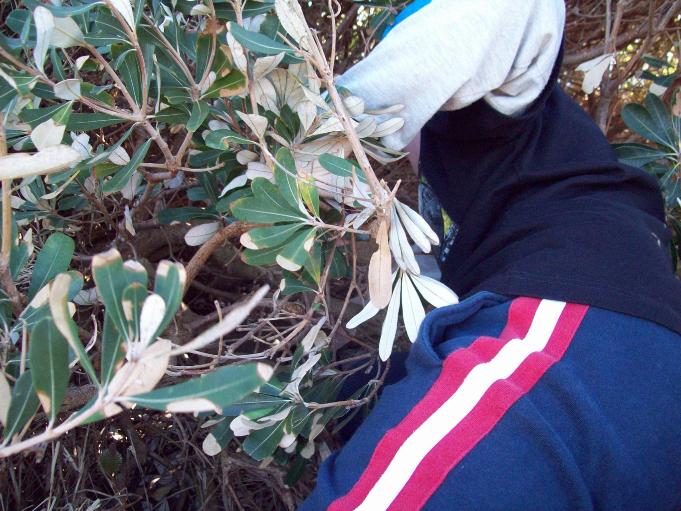How to Make a Geocache : 8 Steps (with Pictures) - Instructables