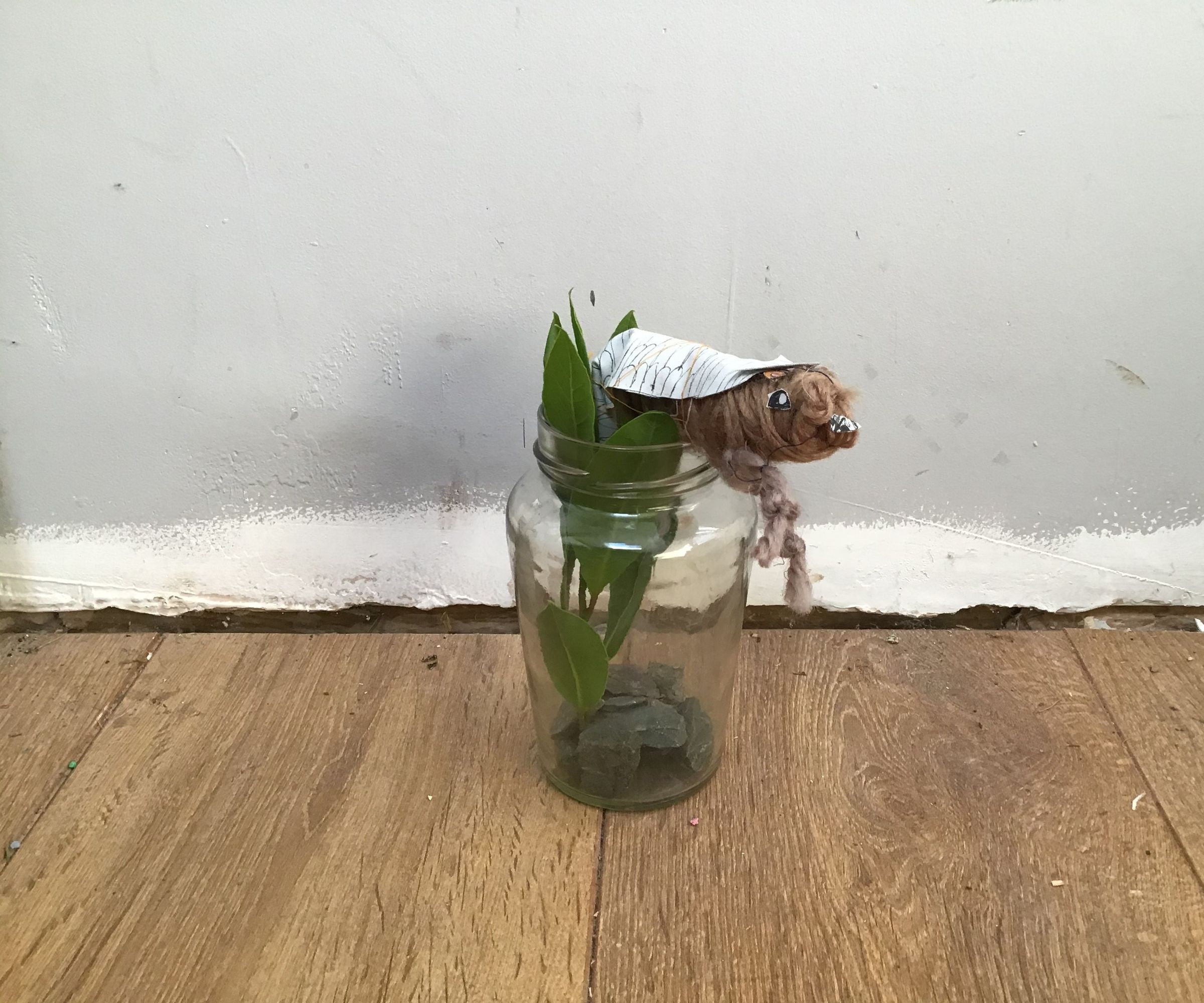 Jar-madillo