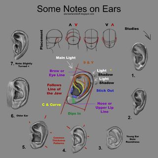 Ear Rotation Drawing How To Draw Ear Diagram