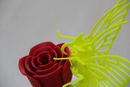butterfly loves rose