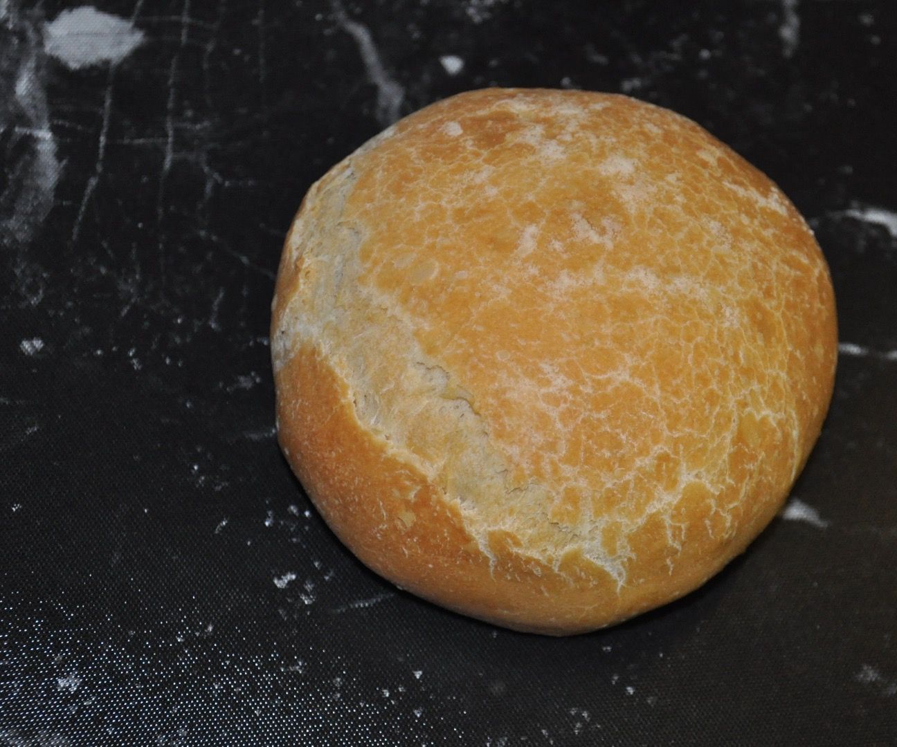 Home Grown Sourdough Starter