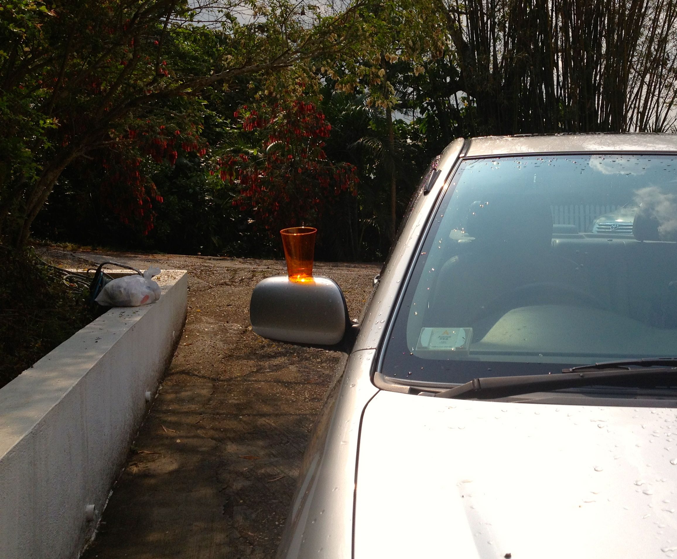 Hey there is a cup on top of your car!?!