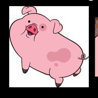 waddles123