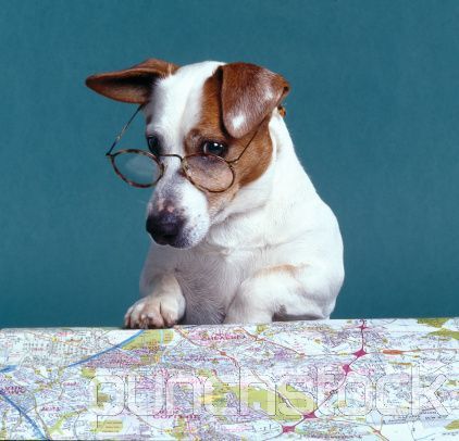 Custom Reading Glasses