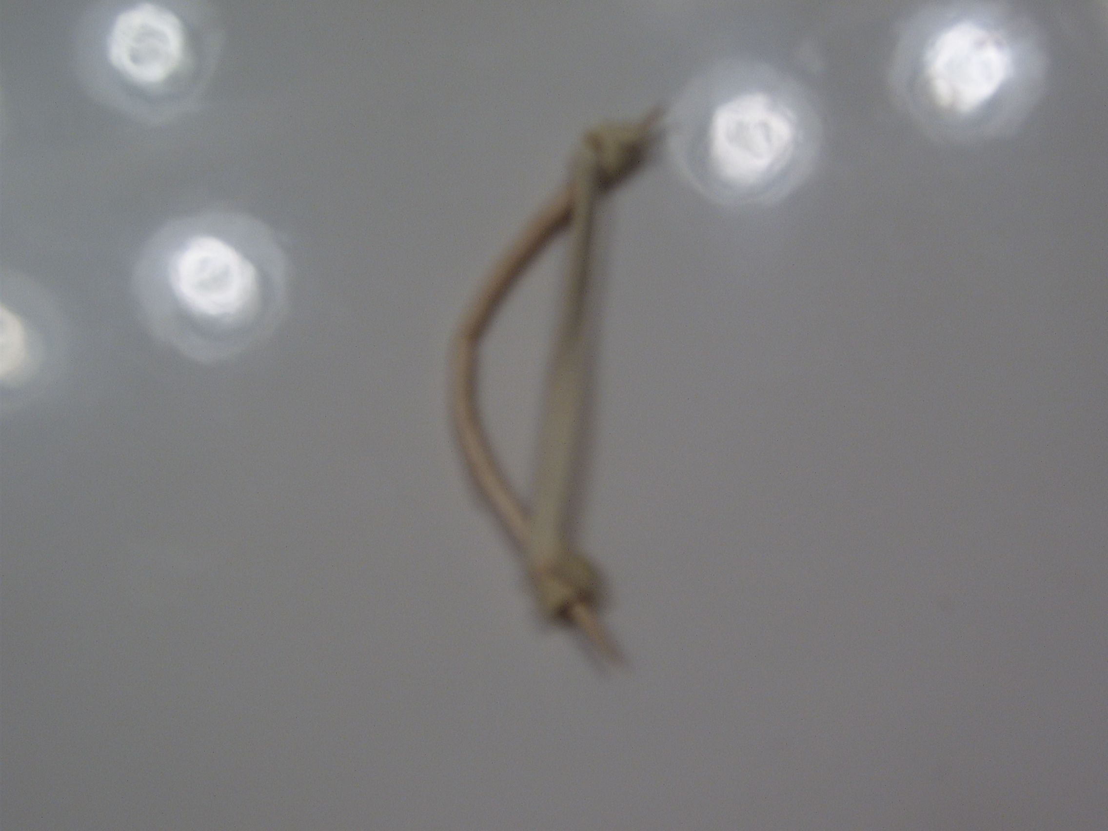 toothpick bow and arrow