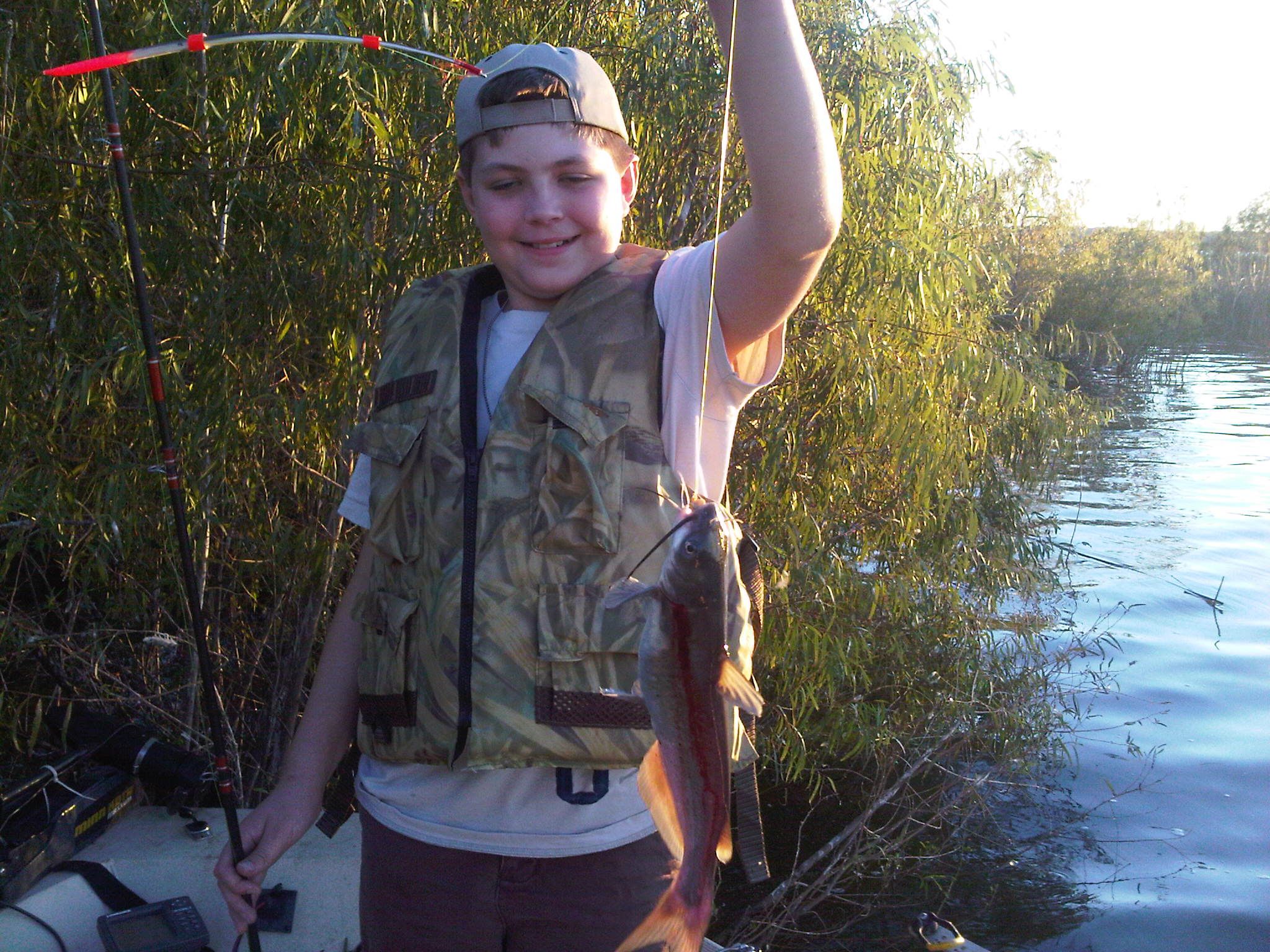 How to Cut Shad for Catfish Bait