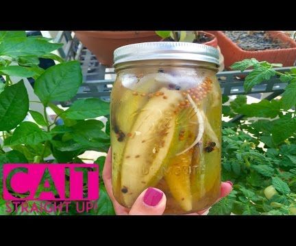 Homemade Refrigerator Dill Pickles