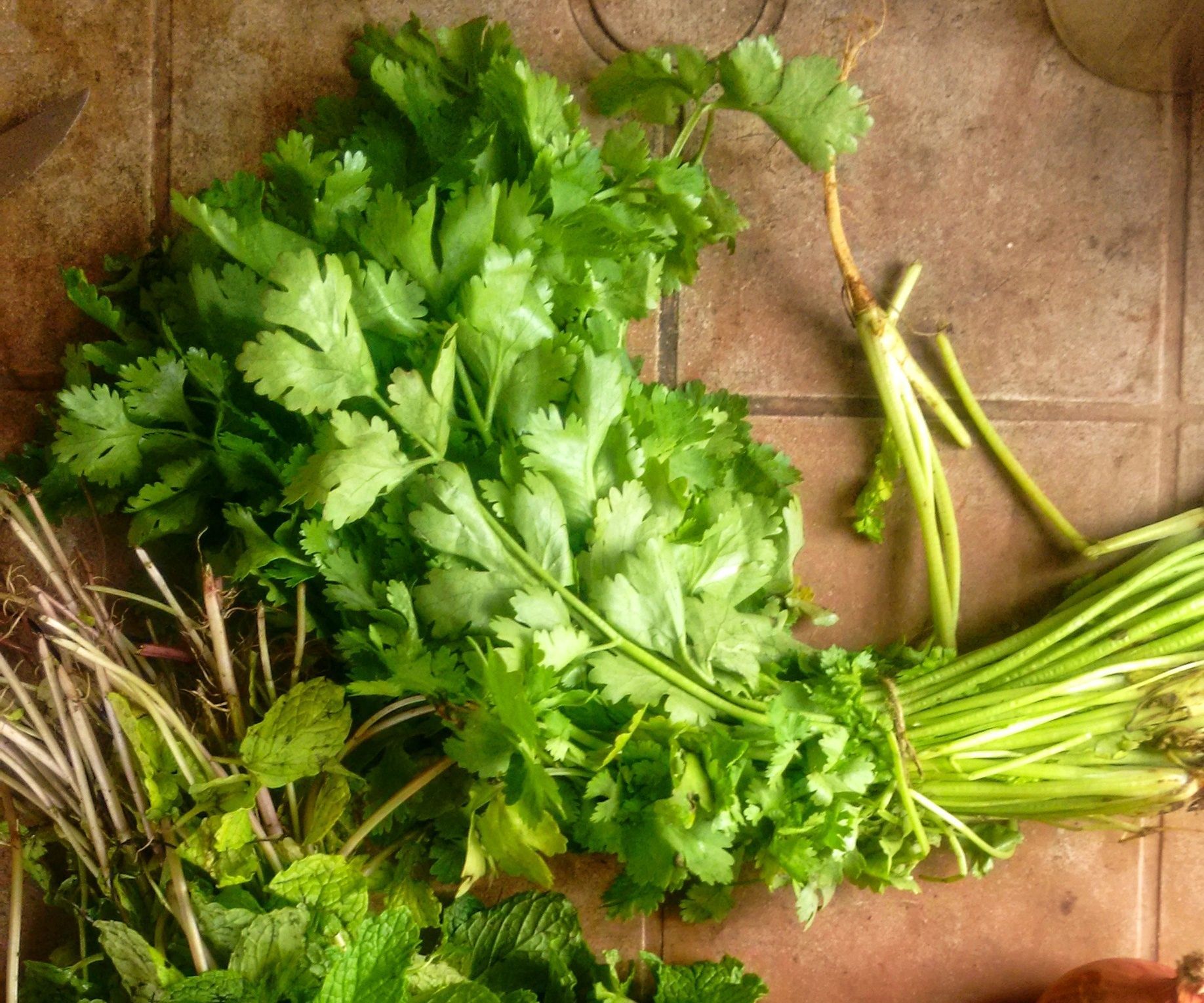 Indian Punjabi Rajma Masala With Aloo Parantha