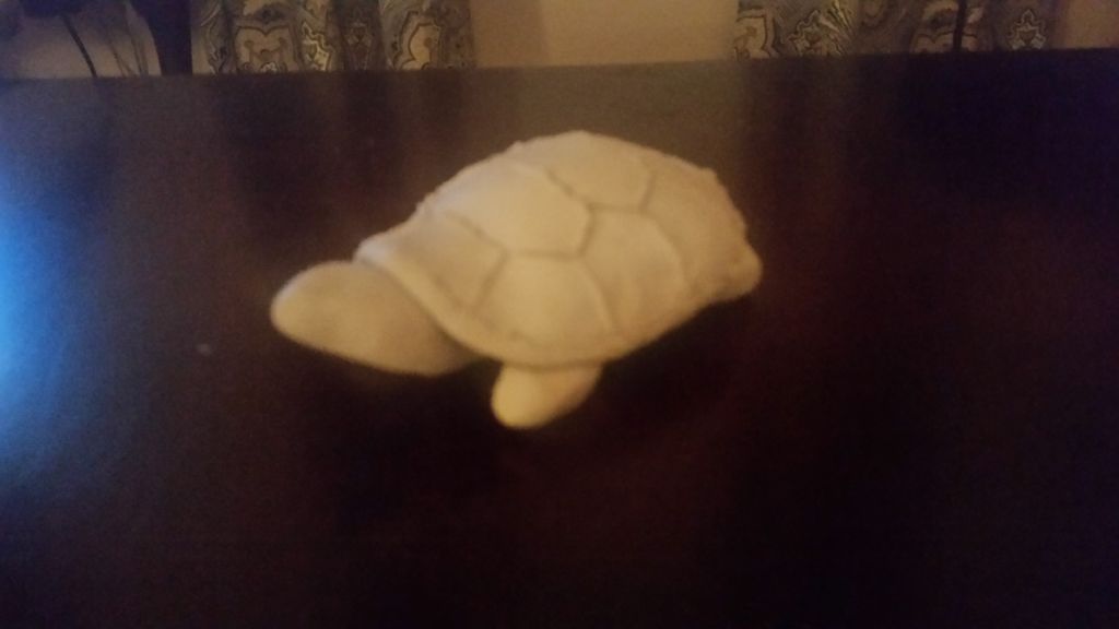 Clay Turtle Shell
