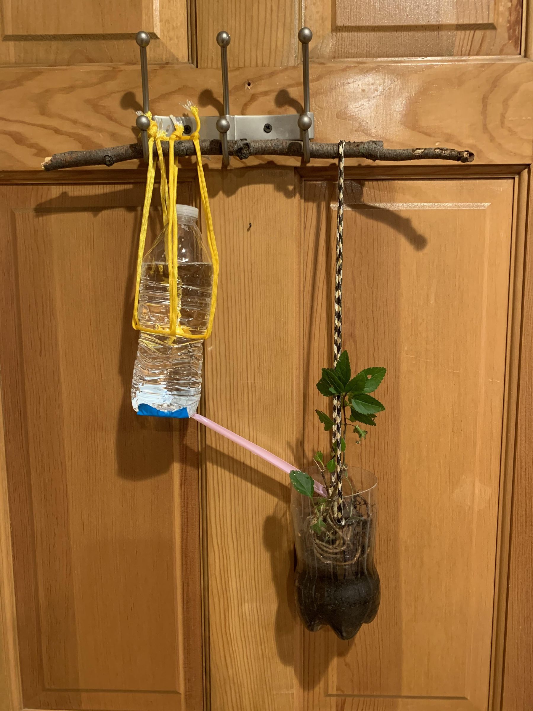 Semiautomatic Hanging Plant Watering System 6 Steps Instructables