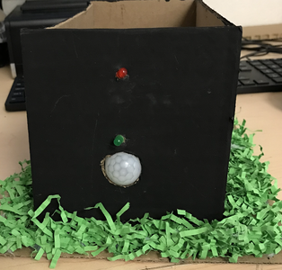 Motion-Triggered Alarm System With LEDs (Home Security System)