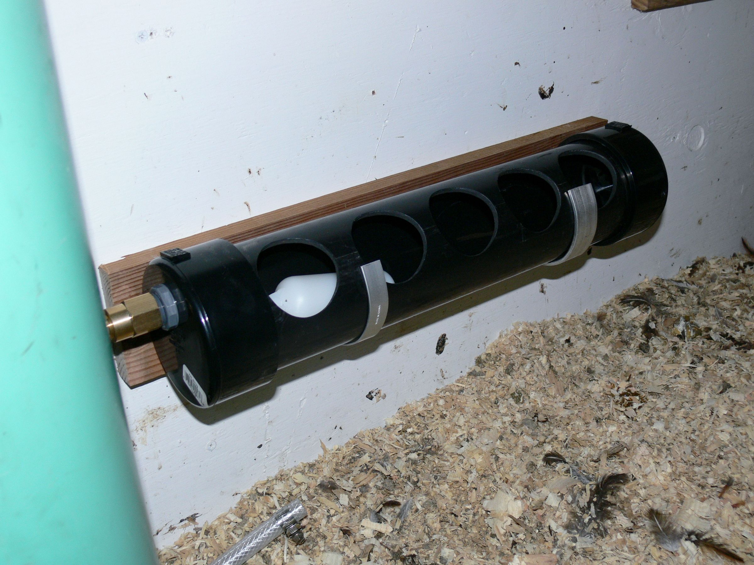 Rain Barrel and Chicken Trough Waterer