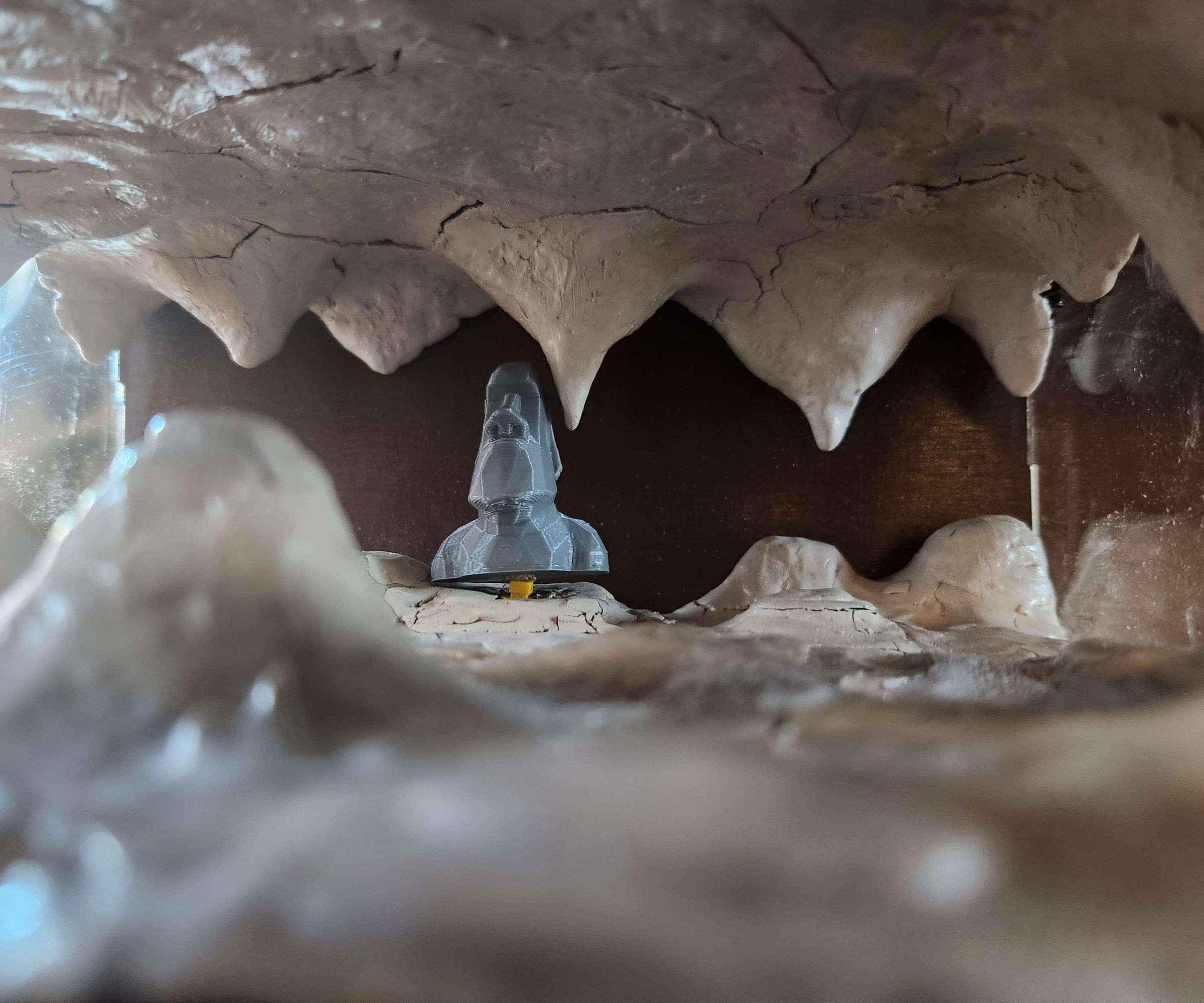 The Treasure Trove Discovery