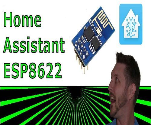 HomeAssistant - Custom WiFi Enabled GPIO