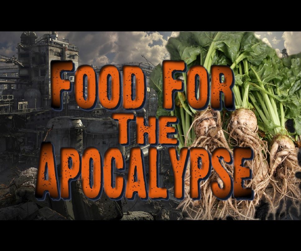 Food for the Apocalypse
