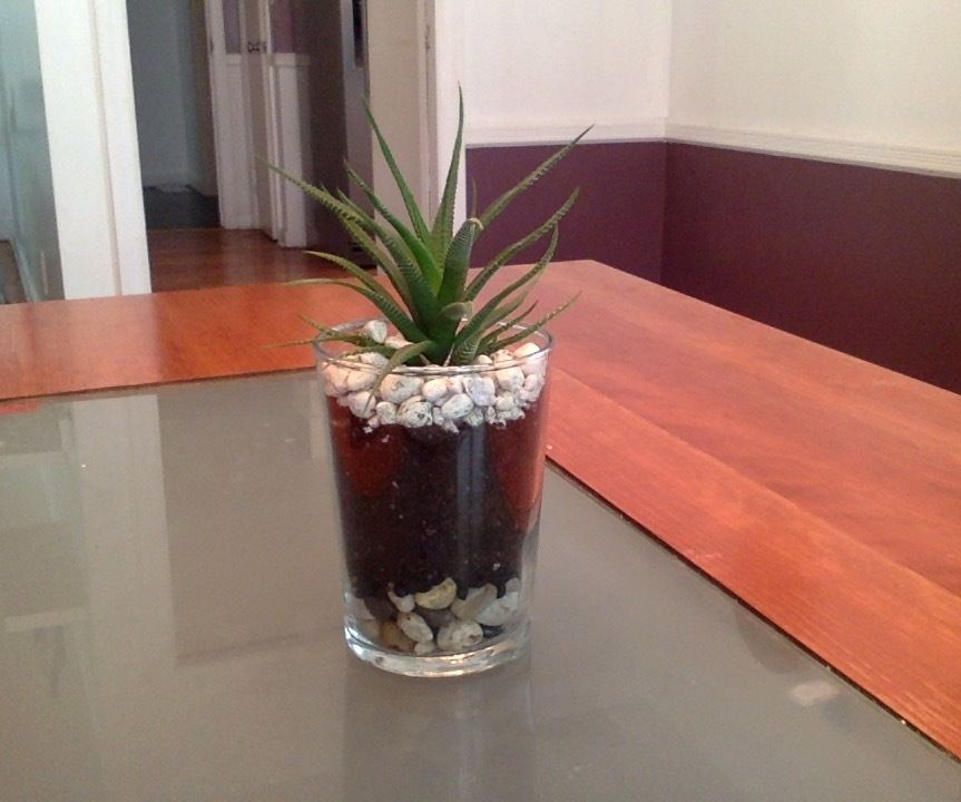 DIY Terrarium