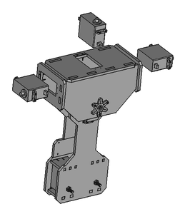 Torso