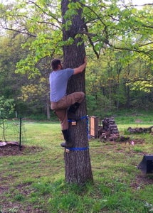 Tree Steps – a Tree Friendly Climbing Device for the Adventurous