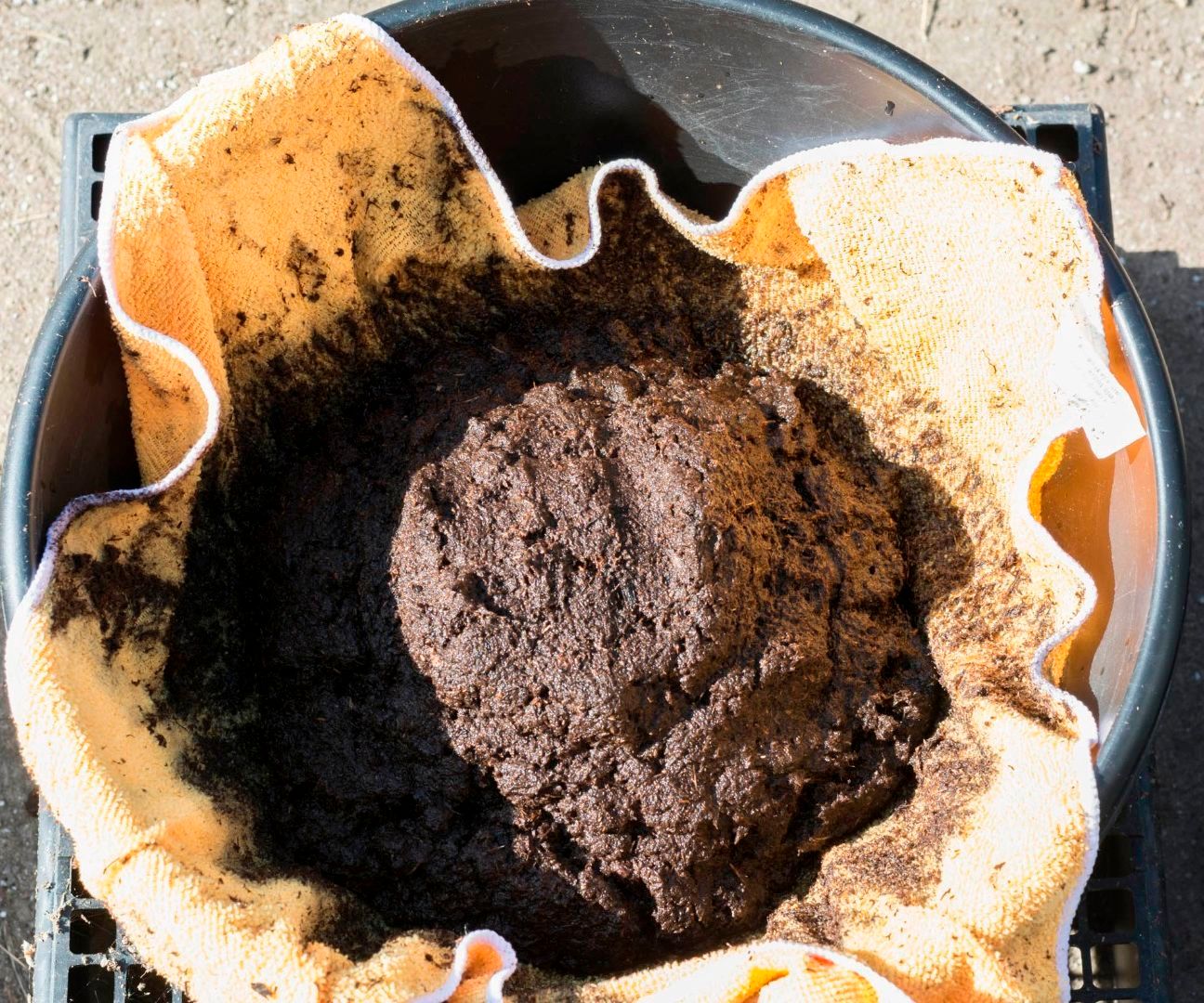 How to Prepare Peat Moss for Flytraps, Sundews and Other Carnivorous Plants