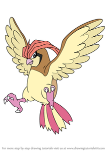 How to Draw Pideotto