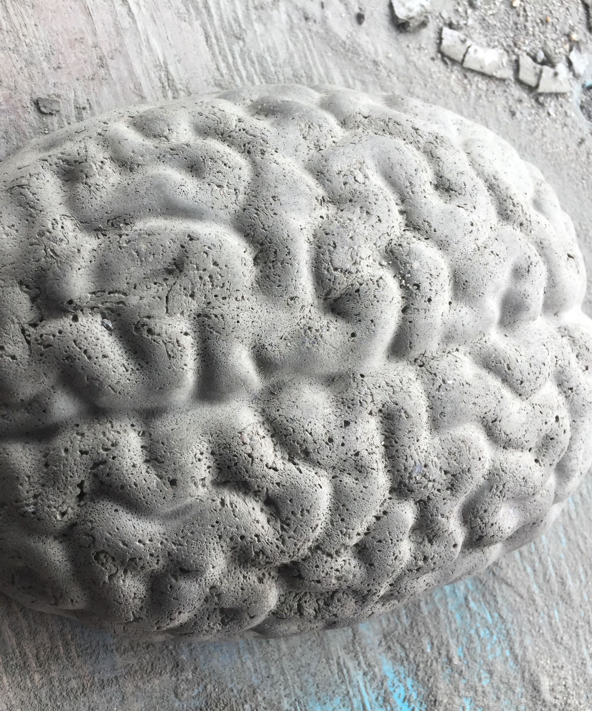 Concrete Brain Halloween Decoration ($10)