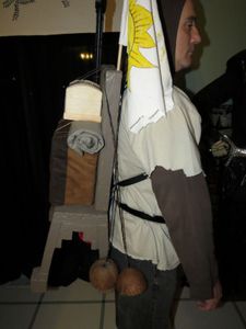 Step 1 Costume Overview