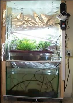 Hydroponics in basement.