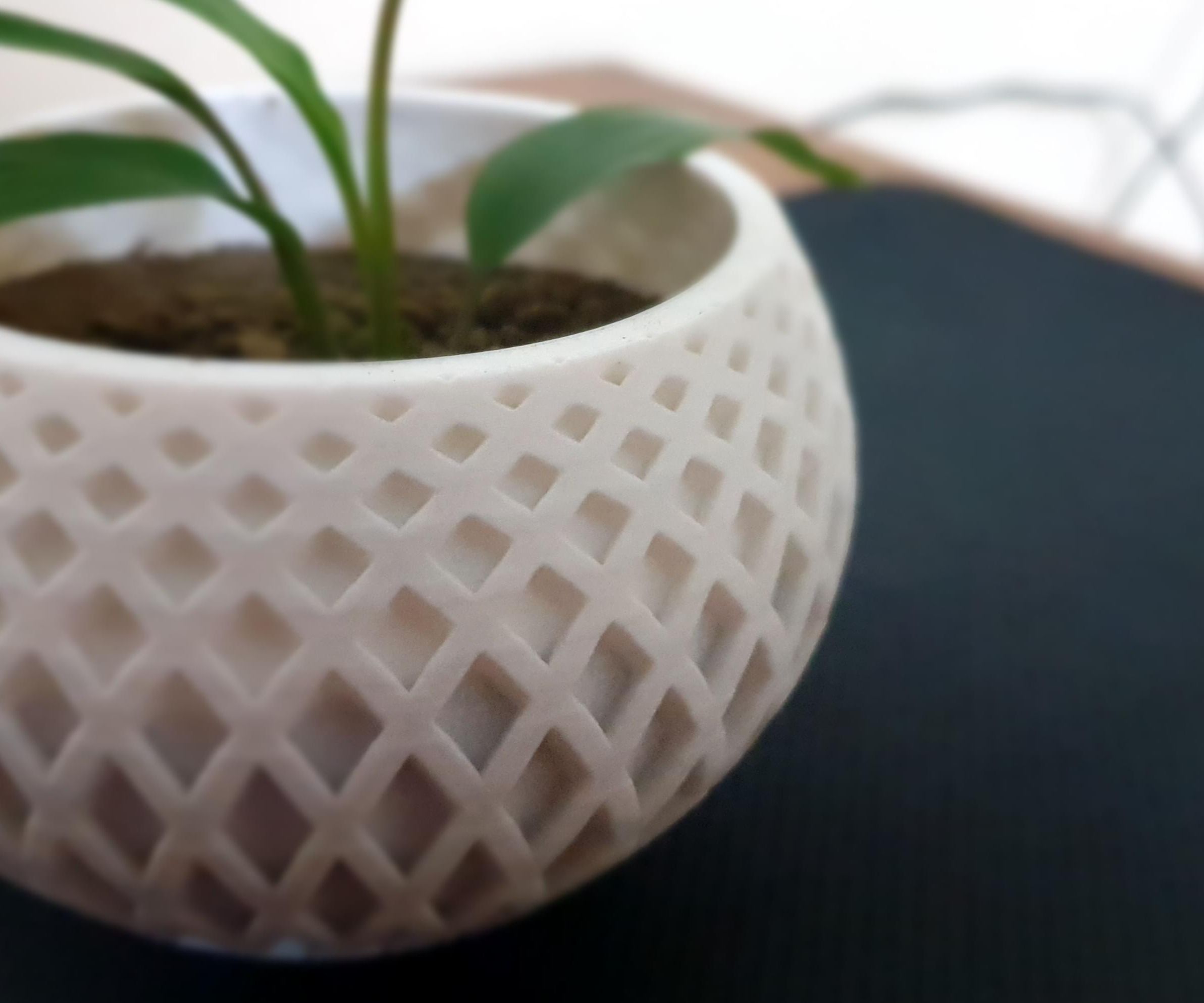 DIY ᐈ 3D Printed Indoor Planters in Just 10 Steps! [ Fusion 360 ]