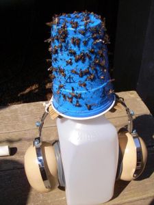 Deer Fly Traps 8 Steps with Pictures Instructables deer-fly-traps-8-steps-with-pictures-instructables
