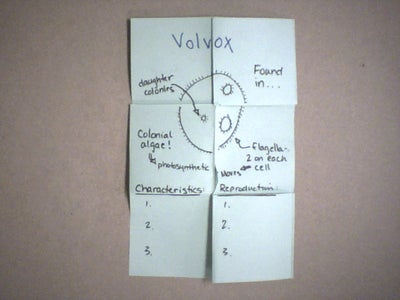 Magic Paper Pocket Study Tool