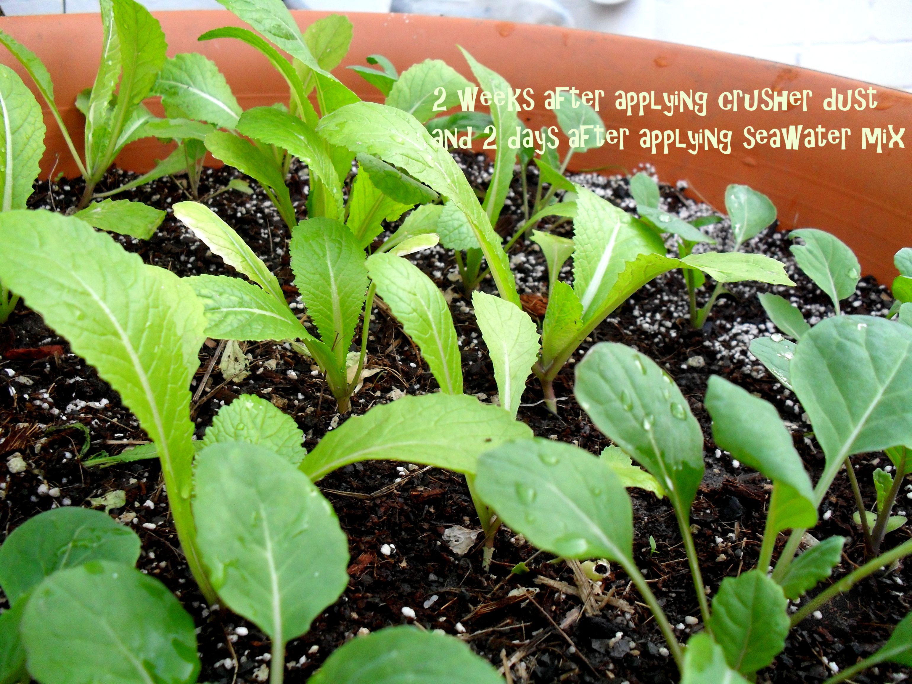 Sew a GrowBag or Upside Down Planter Bag (with Pictures) Instructables