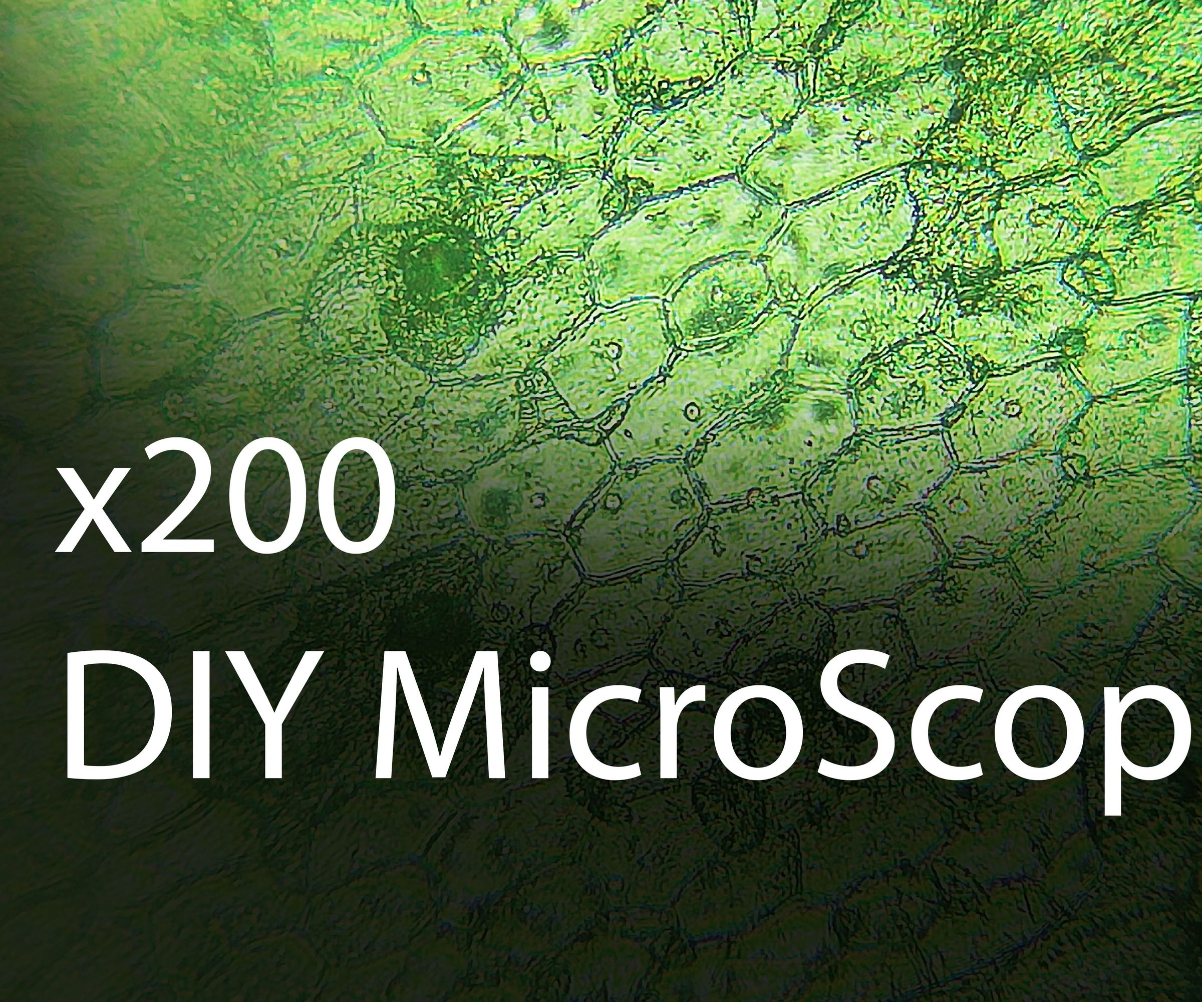 DIY X200 Microscope