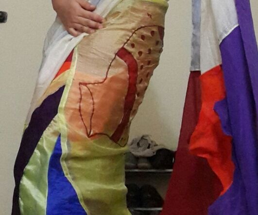 Rainbow Designed Indian Saree 