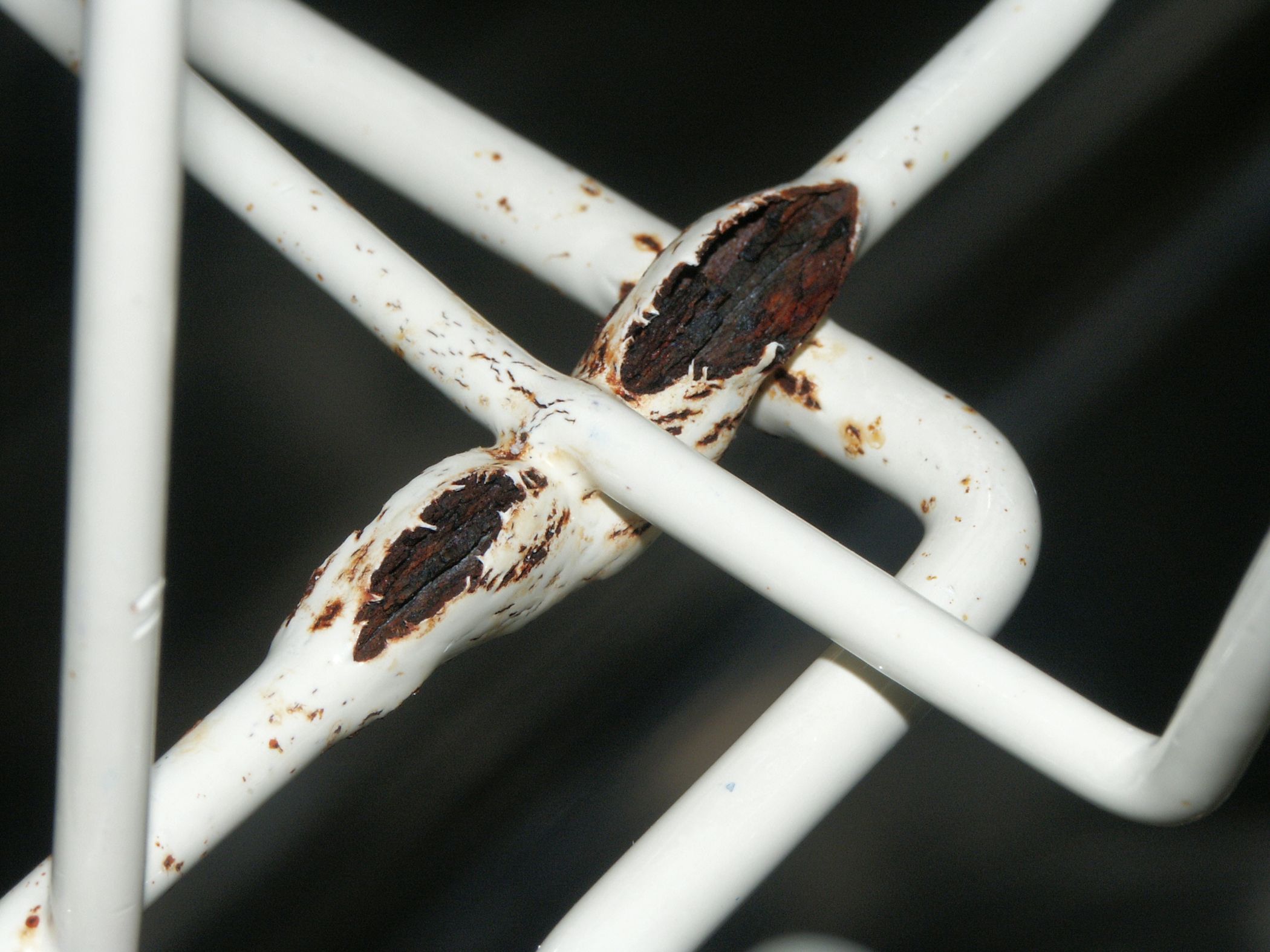 How to Repair Your Diswasher With Sugru 3 Steps (with Pictures