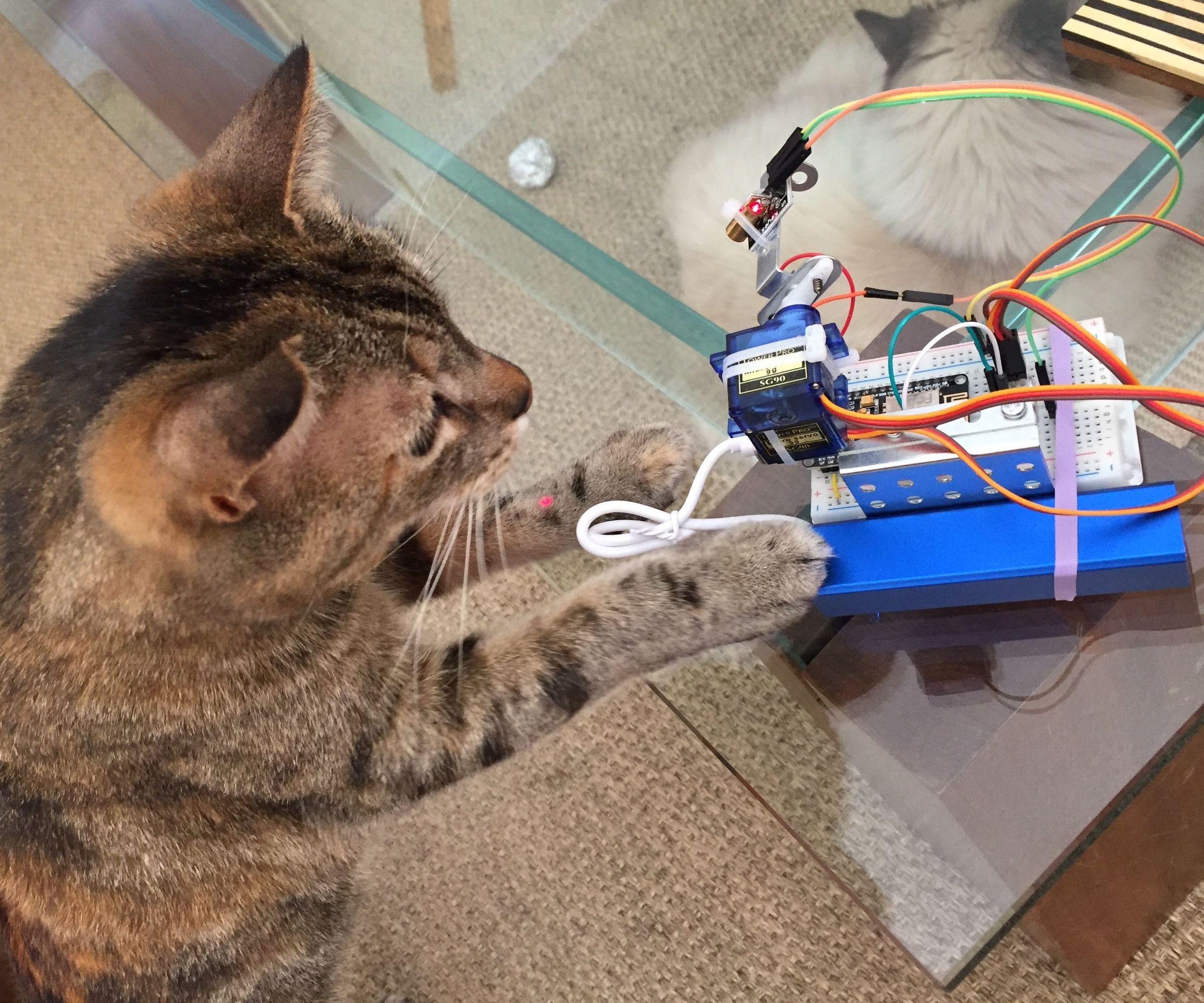 LaserCat - IoT With NodeMCU & Blynk