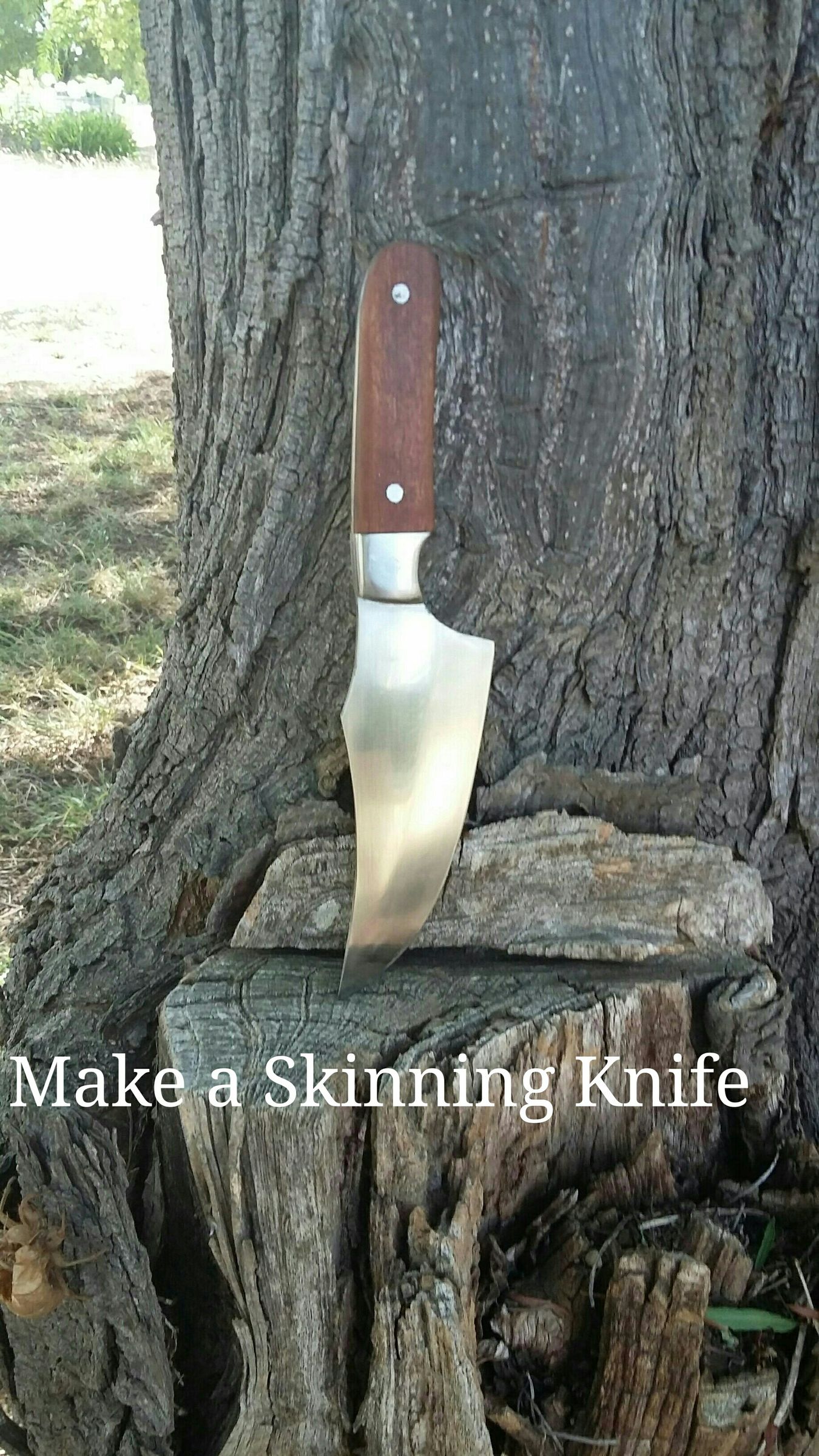 Skinning Knife