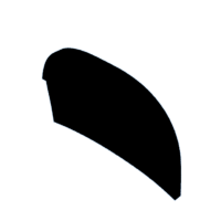 download {{ file.name }}