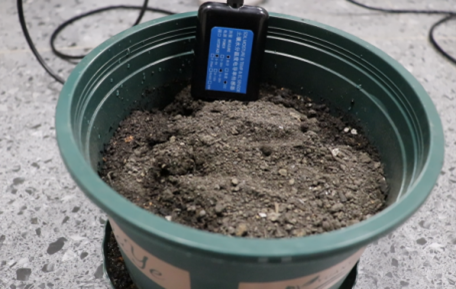 Irrigation and Fertilization