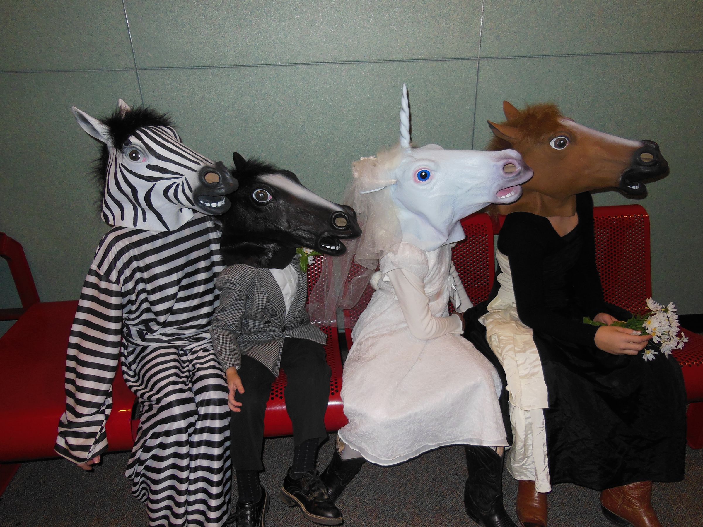 The Equine Wedding Party