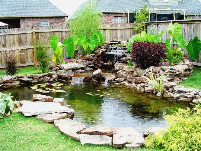 Build a Water Garden or Fish Pond