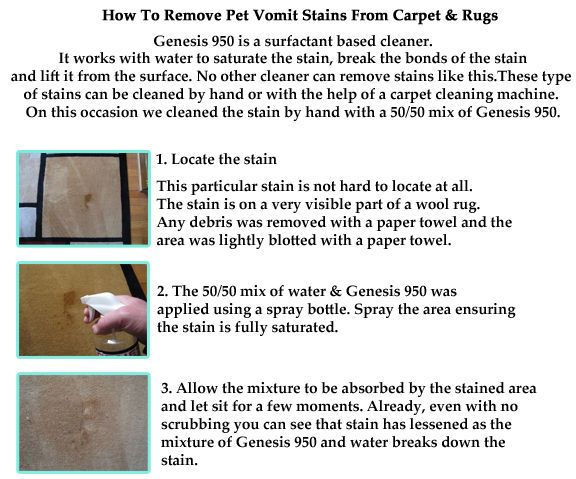 How to Clean Pet Stains From Carpet